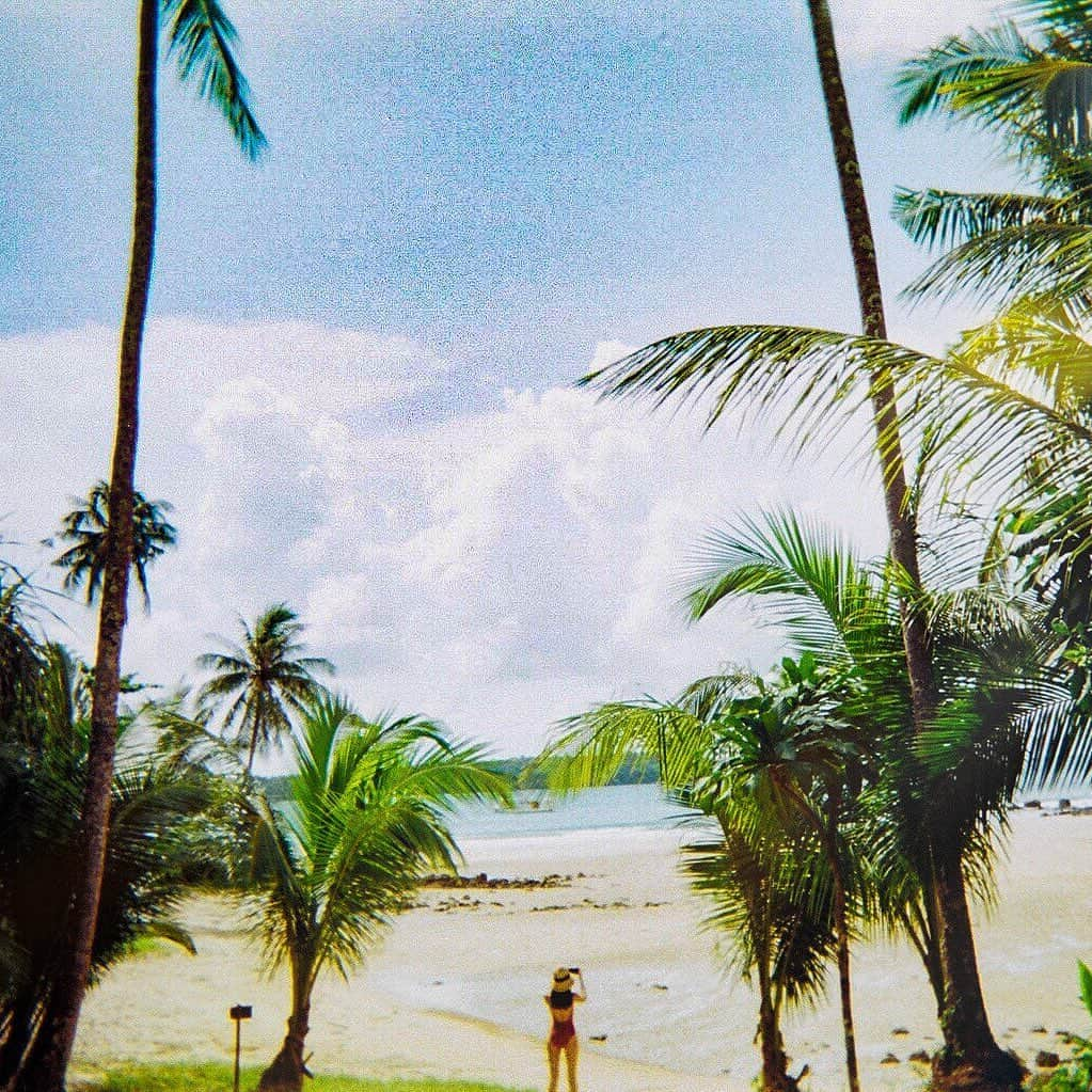 イユエリンのインスタグラム：「Last summer ⛱ #filmcamera」