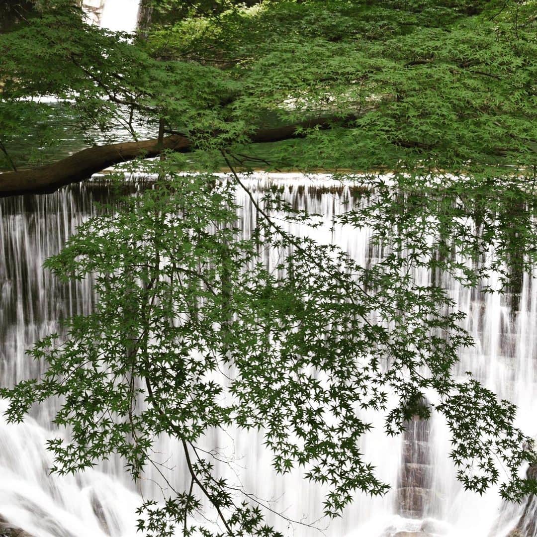 牧野誠三さんのインスタグラム写真 - (牧野誠三Instagram)「昨年夏、神戸の布引の滝に行った時写した写真。もう直ぐ梅雨明け。暑い夏が待っています。 一服の清涼剤に滝の涼しさをあなたに。 #ytvアナウンサー #読売テレビ #牧野誠三 #布引の滝 #2019 #天然のクーラー #7月も終盤」7月26日 9時07分 - makino_seizo_freeter