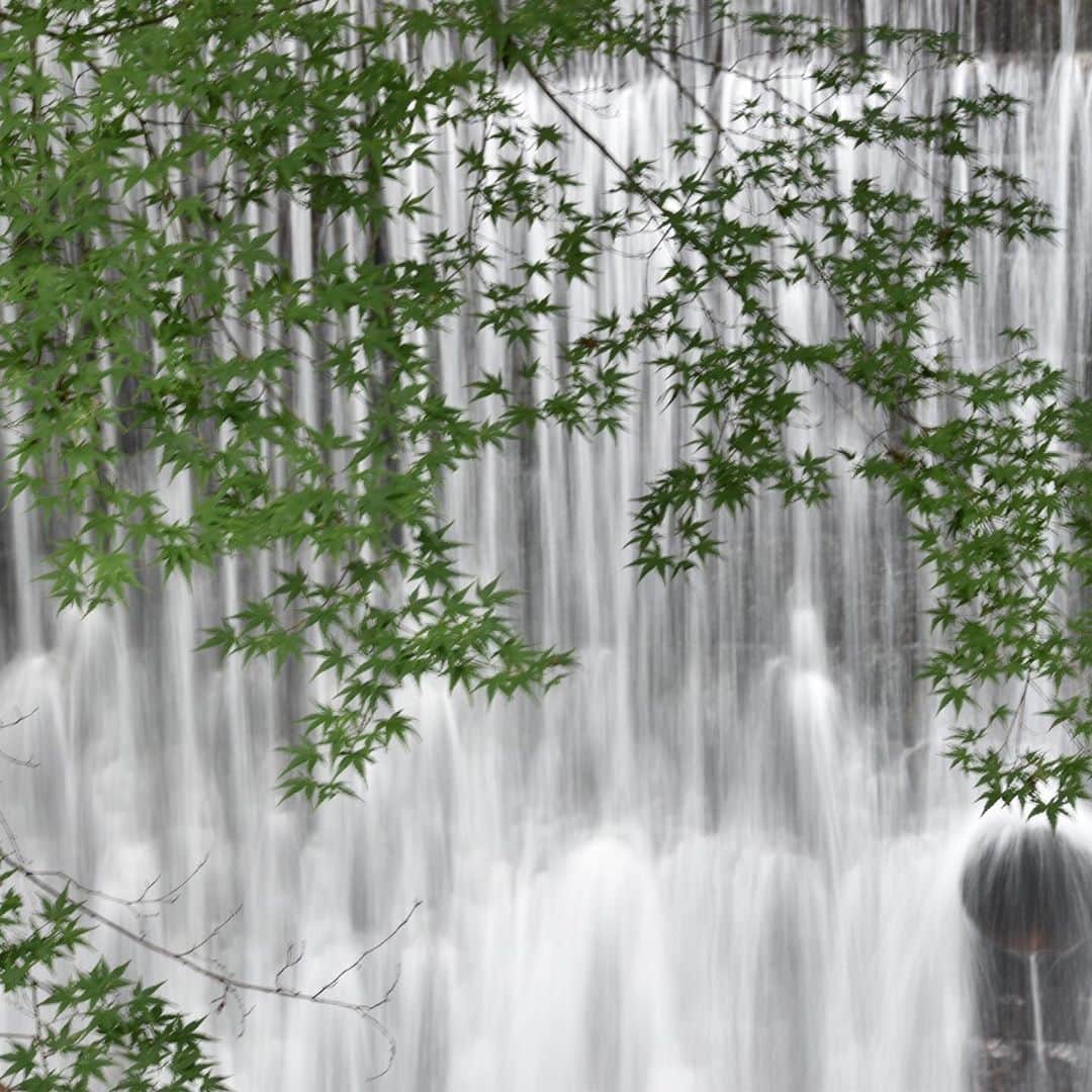 牧野誠三のインスタグラム：「昨年夏、神戸の布引の滝に行った時写した写真。もう直ぐ梅雨明け。暑い夏が待っています。 一服の清涼剤に滝の涼しさをあなたに。 #ytvアナウンサー #読売テレビ #牧野誠三 #布引の滝 #2019 #天然のクーラー #7月も終盤」