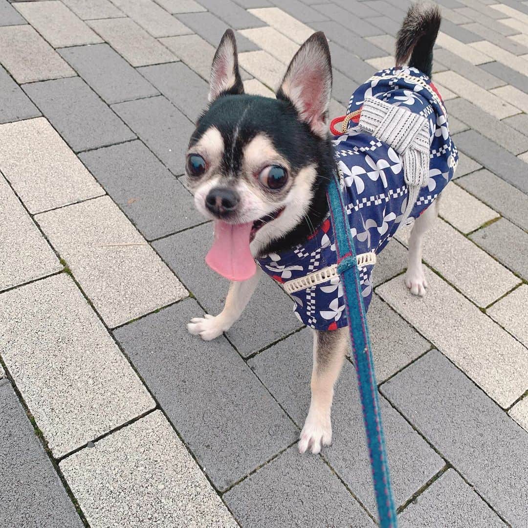 薄井美樹のインスタグラム