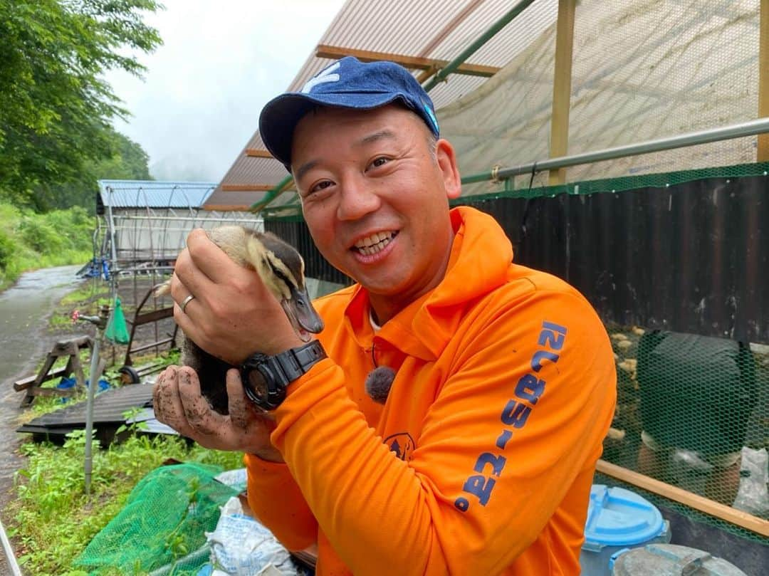 西村瑞樹（西村キャンプ場）さんのインスタグラム写真 - (西村瑞樹（西村キャンプ場）Instagram)「昨日の放送で、中の人が個人的に大好きな写真を…﻿ ﻿ ①アイガモちゃん達に一斉に逃げられる西村さん🐤﻿ ﻿ ②「西村さんとアイガモデートなう❤️」なショット﻿ ﻿ いかがでしょうか〜？🙋‍♂️🙋‍♀️﻿ ﻿ #西村キャンプ場 #アイガモ #田植え #庄原市 #にしむライス #臨場感 #デートなう #バイきんぐ #バイきんぐ西村」7月26日 9時57分 - tss_nishimuracamp