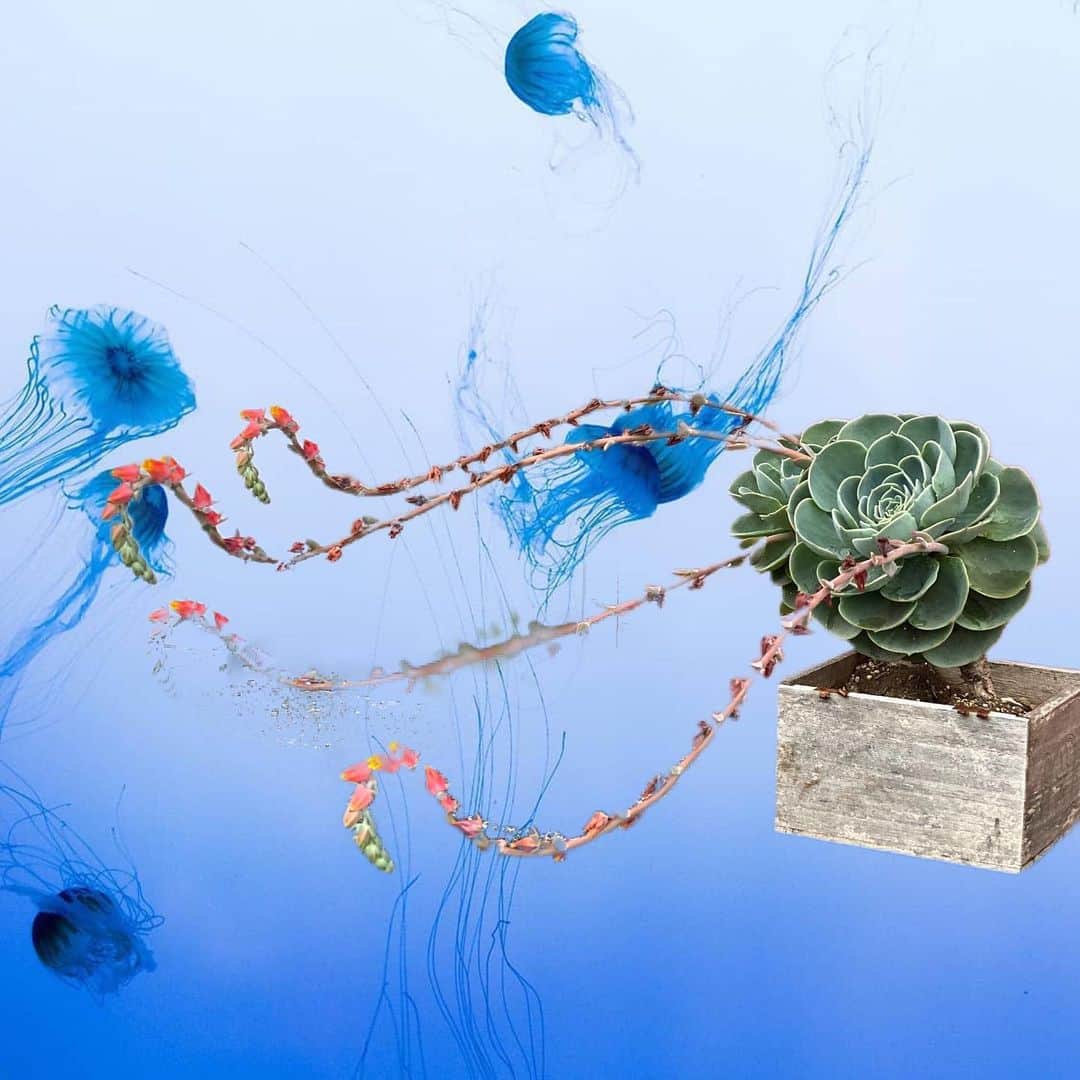 魔女菅原のグルメインスタ