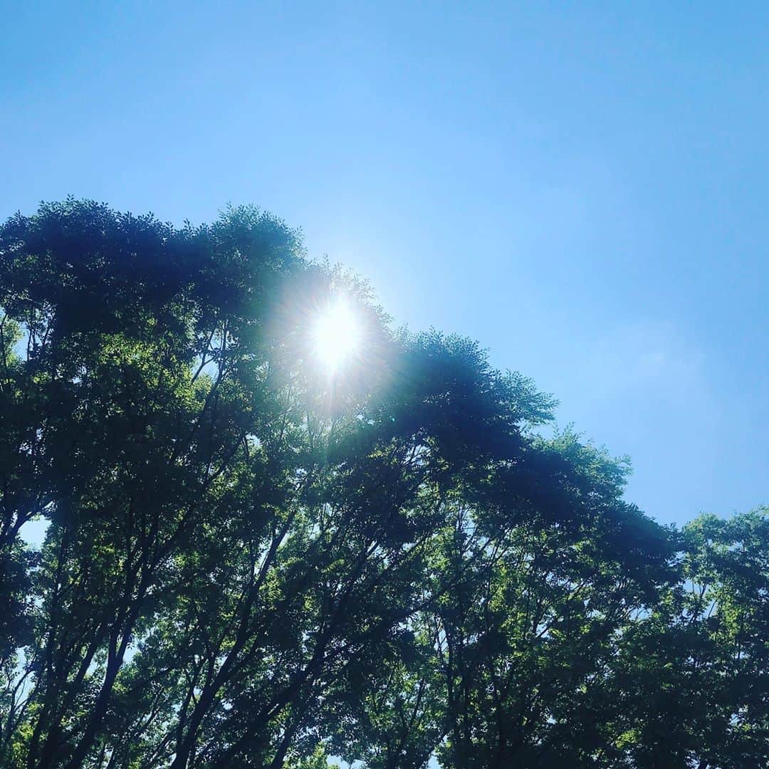 椎名直子さんのインスタグラム写真 - (椎名直子Instagram)7月26日 11時12分 - natadecoco