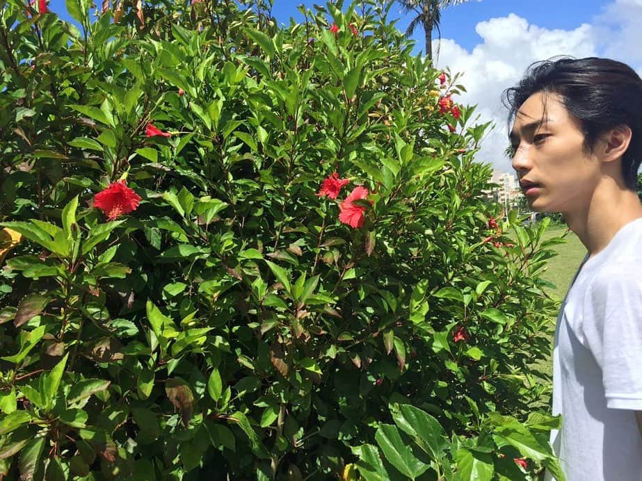 Jay のインスタグラム：「풀떼기🌿」