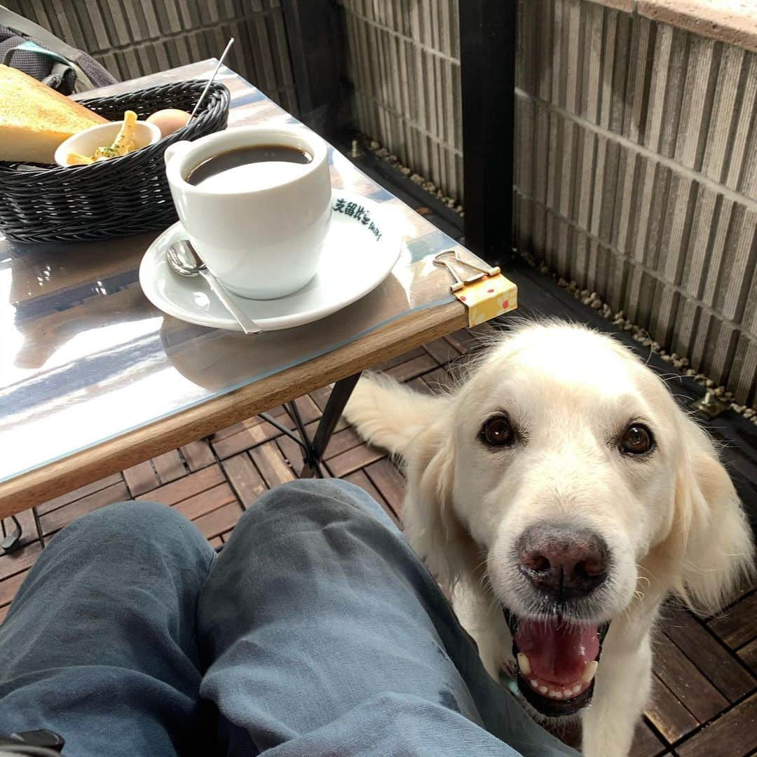 P太郎ママのグルメインスタ