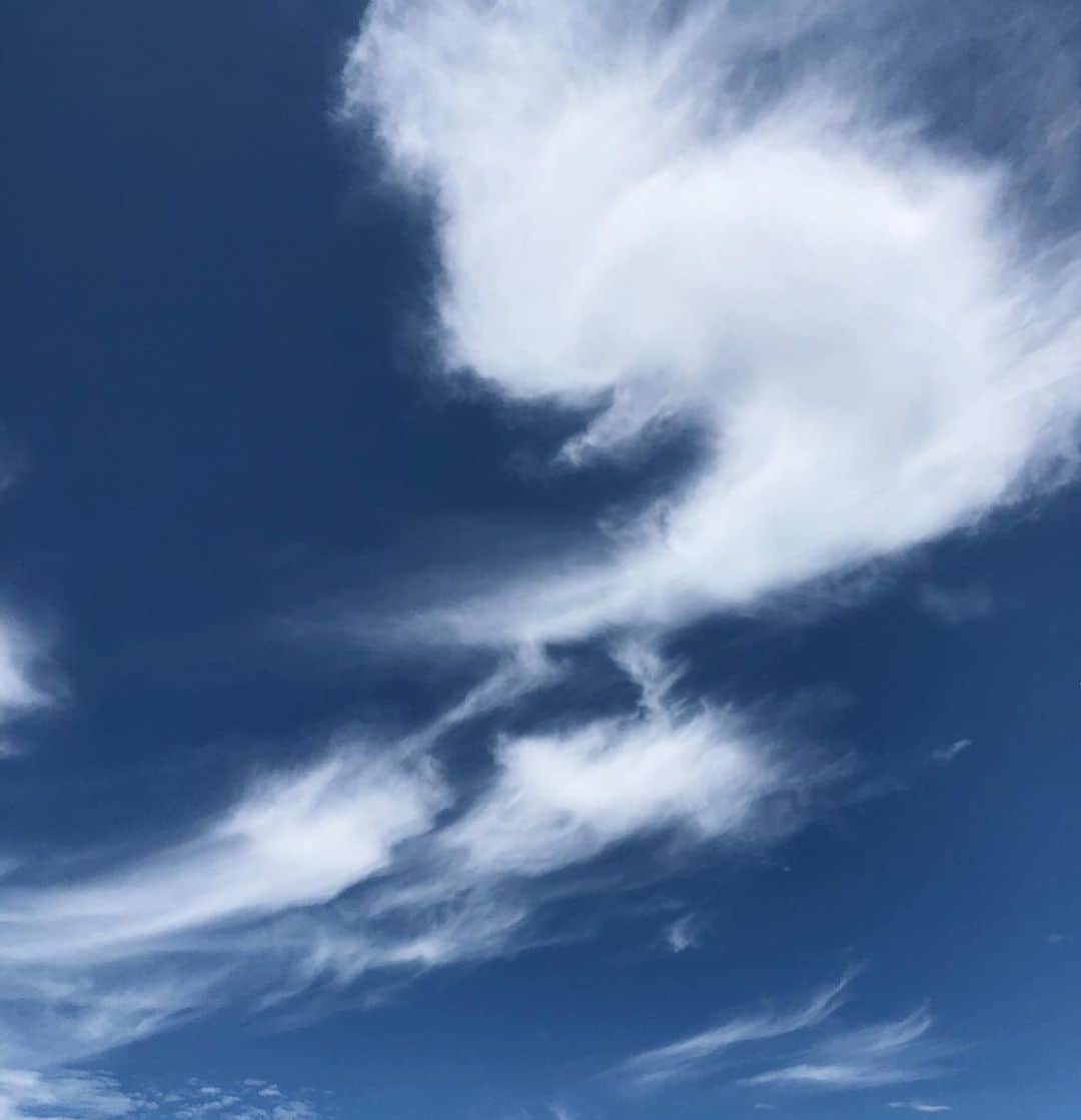 石川亜沙美のインスタグラム：「見上げた空☁️ ・ #2020.07.26 #梅雨の合間の青空 #今日のわたしの #小さな幸せ #💓 #bluesky  #nofilter  #東京」