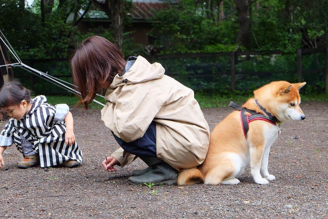 せんべえのインスタグラム