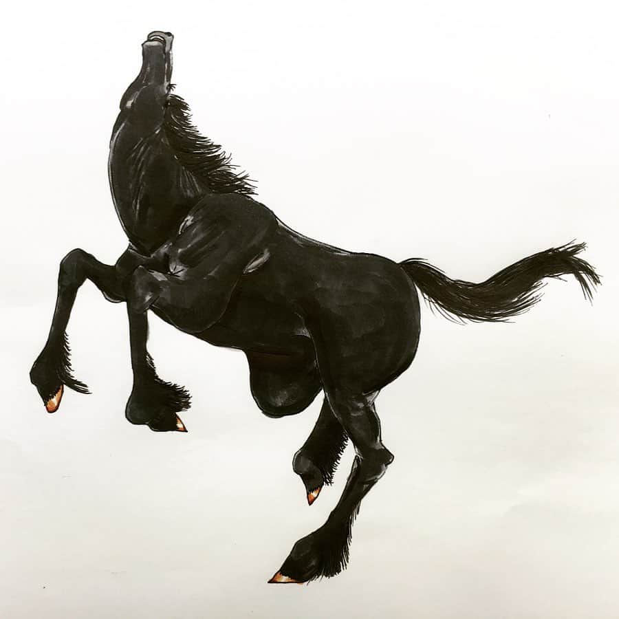 LiLi （矢野り々子）さんのインスタグラム写真 - (LiLi （矢野り々子）Instagram)「青毛 black horse  lili 13yrs old.  #青毛 #blackhorse #矢野り々子」7月26日 22時23分 - liliko.y