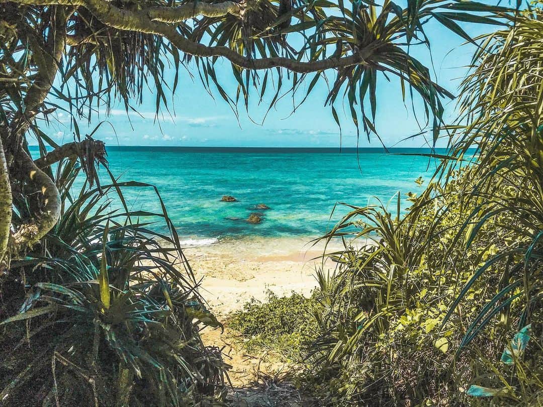 安藝正俊のインスタグラム：「: ㊙︎ビーチ🏝 沖縄に3年もいると いろいろ知識増える  もう プチツアー組める気がするw : #沖縄 #沖縄旅行 #沖縄移住 #休日の過ごし方  #海 #海のある生活 #海好きな人と繋がりたい  #自然 #写真好きな人と繋がりたい  #お洒落さんと繋がりたい  #ライフスタイル #ビーチ #ダイビング #スノーケル #インスタ映え  #フォローミー #ダレカニミセタイケシキ  #japan #okinawa #vacation #sunmervibes #tripgram  #photo_jpn  #sealife  #oceanlife  #diving #snorkeling #goodvibes #instagood」