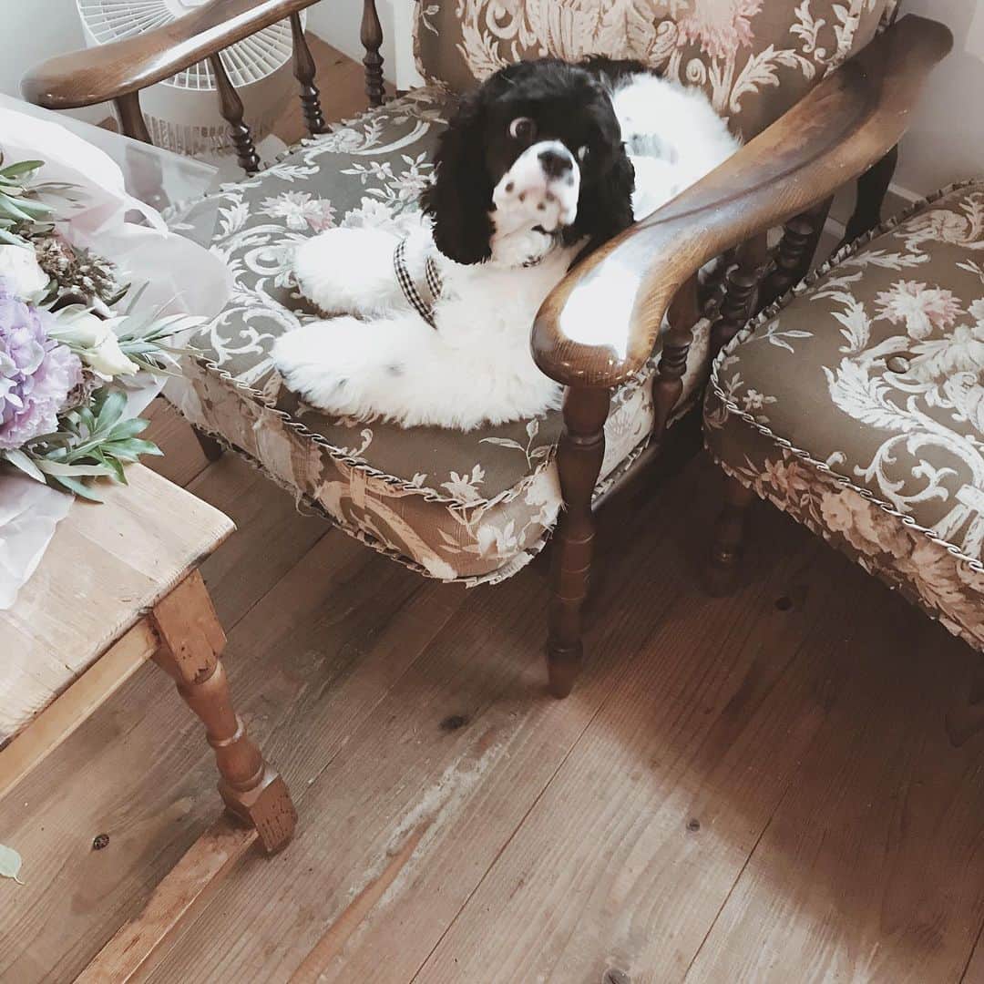 yuiのグルメインスタ