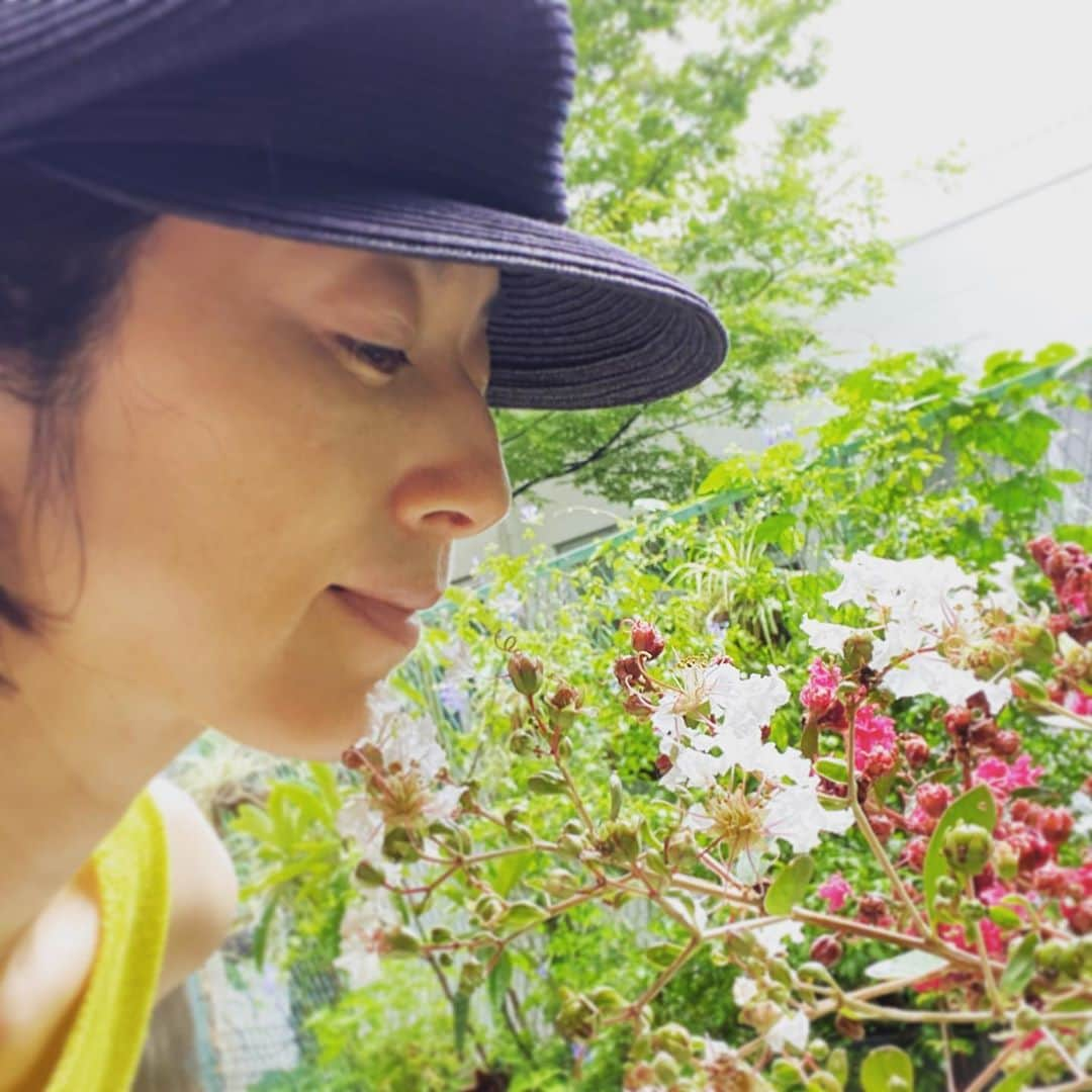 高岡早紀 さんのインスタグラム写真 - (高岡早紀 Instagram)「連休最終日は、お買い物。 娘は夏に向けて新しい水着。 私は、2色の"サルスベリ"の木を買ったの〜 欲しいものに出会えると、気分上がるねっ  #早紀おウチガーデニング」7月26日 23時03分 - saki_takaoka