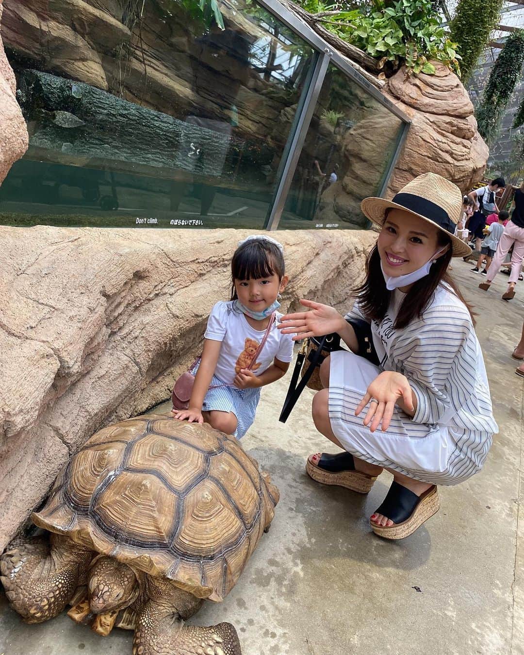 嵜本将光 のインスタグラム：「今日は雨で急遽神戸どうぶつ王国へ  初めて行ったけれど、動物達と沢山触れ合う事が出来て、とても楽しめました😁  #ハシビロコウが好き  #動物園 #family #familytime  #familyphoto」
