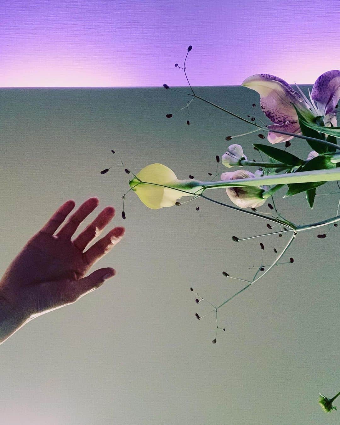 小谷実由さんのインスタグラム写真 - (小谷実由Instagram)「🪐 人からお花を貰うと普段自分だと選ばない花がお家に来て、それも好きになれるから嬉しい！」7月26日 23時19分 - omiyuno