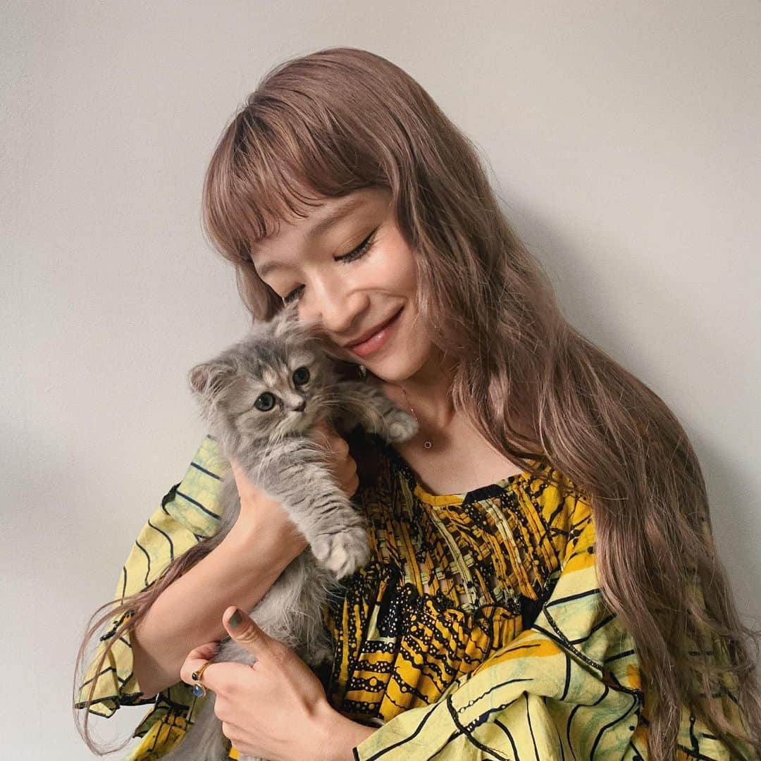 大澤実音穂さんのインスタグラム写真 - (大澤実音穂Instagram)「この前まいちゃんが猫たちに会いにきてくれた。久しぶりに会えて嬉しかったな🌹グレンとリタを見つめる表情が女神のようでほんと好き」7月26日 14時44分 - ______mineho