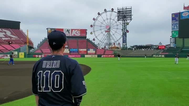 オリックス・バファローズのインスタグラム