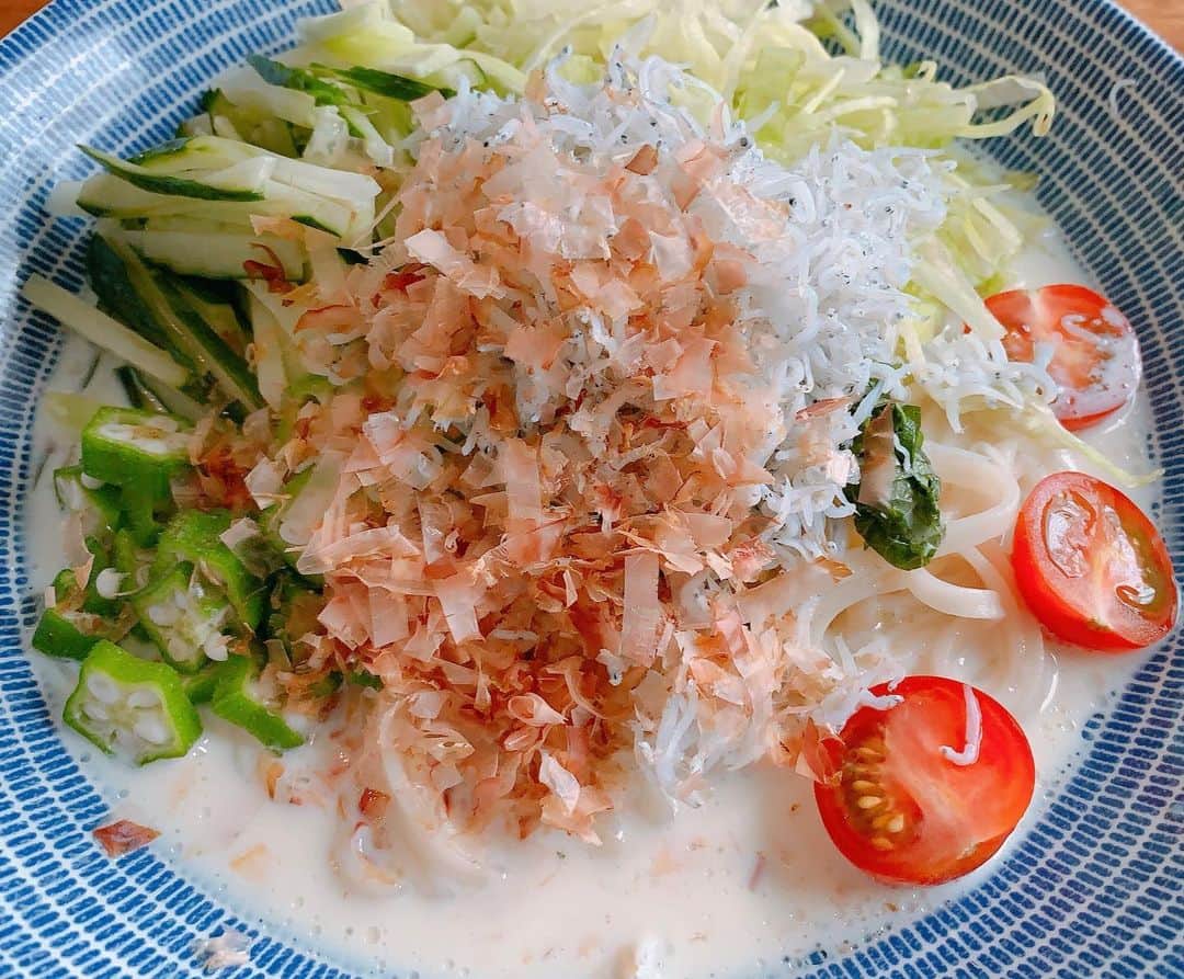 金子貴俊のインスタグラム：「今日のランチは 余り物で 「シラスと野菜たっぷり豆乳うどん」美味しくできましたー(^^)  今日もお家で家族でマッタリ。  #冷やしうどん#うどん#しらす  #豆乳#豆乳うどん #パパご飯  #パパごはん#ランチ」