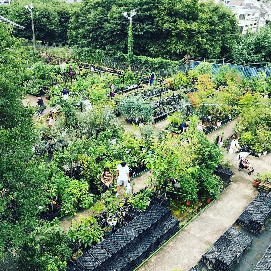 福田葉子さんのインスタグラム写真 - (福田葉子Instagram)「都内でいちばん大きいと評判のグリーンショップへ。広い！植物豊富！なんでもある…すごすぎて目移りして何を買えばいいのかわからなくなり、ひたすらグルグル回ってました…。 ローズマリーとユーカリ、モヒートミントを手に帰途に着きました。いったん落ち着こう、そしてまた来よう。 #green #greenshop #ozakiflowerpark #botanical #gardening #fun #weekend #オザキフラワーパーク #グリーンショップ　#園芸店　#観葉植物　#広い　#緑化　#ガーデニング　#植物のある暮らし」7月26日 15時49分 - yoyoyokoko