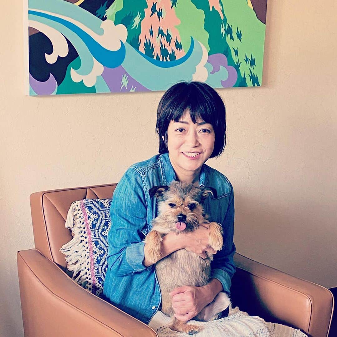 のインスタグラム：「過去は関係ないから。いま一緒にいる幸せを大切にしたいね😊  今日が正式譲渡から丸一年、眺めているだけで幸せな気分にしてくれる愛犬うずめちゃんです。  I have lived with my dog for a year. She was a rescued dog🐶   小平市を放浪していて愛護センターへ。そこから保護団体Dog shelter さん→一時預かりのトリミングサロンConanaさん→我が家へ。  たぶん捨てられたのだけど、なぜこんなにかわいい子が？って悲しくなる。  だけど天真爛漫で人も好きなので、以前もきっと可愛がってもらっていたんだと思いたいです。  過去に囚われず、今を生き、未来への不安もない、そんなうずめちゃんからは教えられることもいっぱい。  この写真は、6月に「愛犬の友」で取材を受けた時の様子。  今日はご近所の犬友達とピザ🍕ランチ。いつも足元でおとなしくしています。 3枚目は、いま現在。トリミングしたばかりなのでスッキリ。 4枚目は保護されてすぐの頃。 今のほうが、顔が穏やかになったなあと感じます。最近、「たいこさんに似てる」とも言われます😊  古事記の踊りの神様アメノウズメから名付けた名前の通り、私の心を明るく照らしてくれているうずめちゃん。  保護犬と、うずめちゃんと、出会えてよかった。  私の周りも保護犬猫を飼ってる友人達けっこういます。そしてみんな幸せそう。  過去は関係ないから、いま、ここにいてくれていることが現実でそれを大切に暮らしていきたいです。  世界中の犬猫たち、一頭でも一匹でも多く幸せになってほしいです。  #japaneseartist #liveintokyo #happyart #loveart #lovedogs #shelterdog #rescuedog #mongreldog #terrier #いぬすたぐらむ #保護犬 #保護犬を家族に #テリアミックス #雑種 #全ての犬猫が幸せに暮らせますように　#愛犬の友7月号」