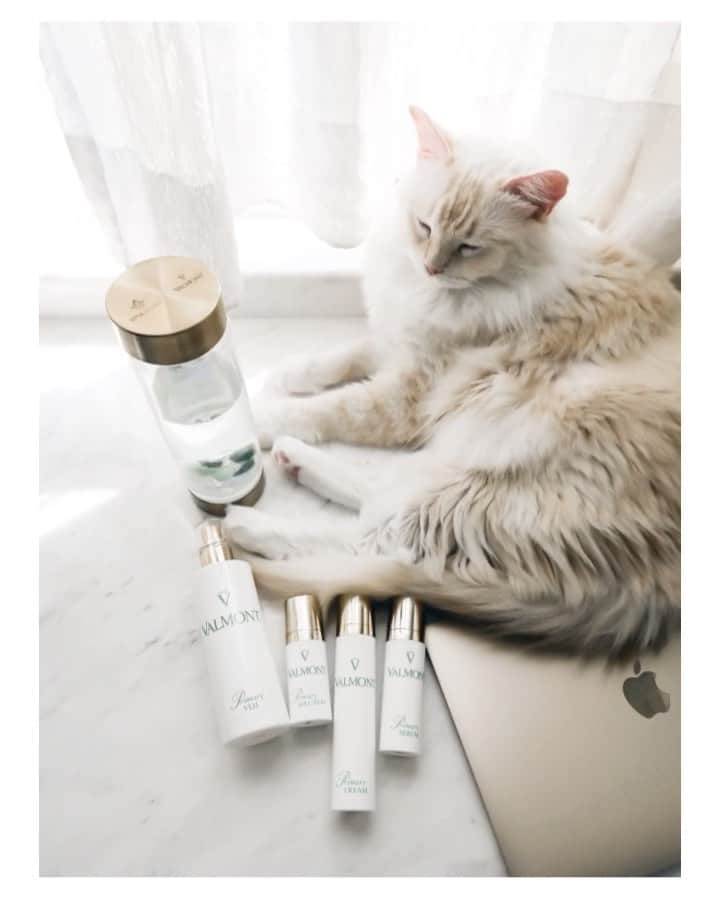 Ruby Kwanのインスタグラム：「Feeling the need to going back to basic. Eat well, rest more, keeping good hygiene and drink more water. The Valmont Primary skincare is a basic but effective collection. It promotes stable balance in our skin’s ecosystem. A universal solution for beautiful and healthy skin. I specially like the #PrimarySolution, which help sooth my masked & irritated skin. 💛 #rougeclosetbeauty  #VALMONTHongKong #VALMONTcosmetics #WhenArtMeetsBeaury #VALMONTPrimary」