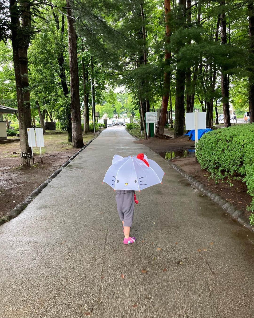 佐々木ゆう子さんのインスタグラム写真 - (佐々木ゆう子Instagram)「晴れたーーーやほーい☀️と喜んでプールへ行ったけど。即、雨☔️🤣　ずぶ濡れプールもたのし！！  4連休中2度プールへ来て、2度とも土砂降り🤣🤣🤣  唇ムラサキ。ガクブル。寒っっ🥶  暖房つけて帰ります🤣  #プール #連休 #地元で遊ぶ #軽井沢 #佐久 #御代田 #風邪ひくなよ #寒暖アレルギー #最寄りのプール は #予約制 #予約いっぱい」7月26日 17時02分 - yuko_sasaki