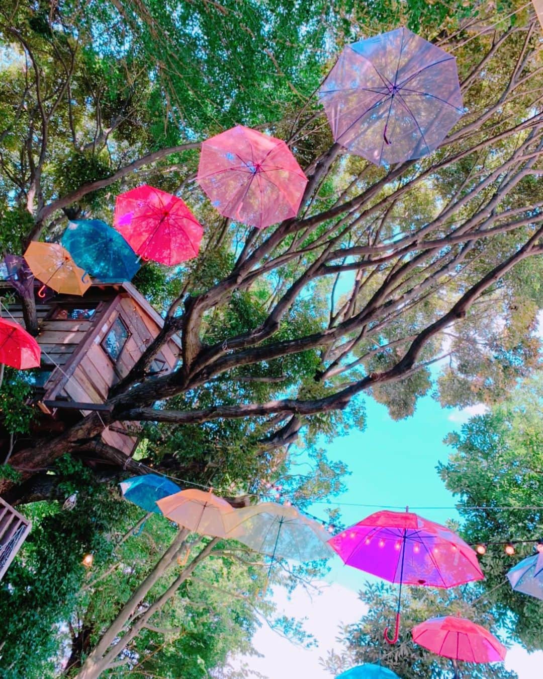 のインスタグラム：「#千葉 🌈‼︎ 素敵な場所には素敵な人が集まりますね☺️ ご縁に感謝♬ @tsubakimori_komuna  #峯村日記」