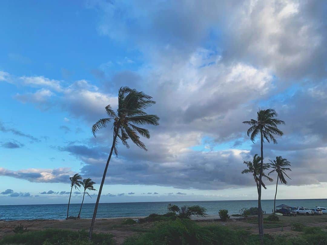 エリナ シルカのインスタグラム：「Blessed to be living in paradise🌴 hoping this hurricane doesn’t cause too much damage 🙏 ハリケーンが明日の夜くらいに上陸するらしく、やっぱり今夜のお散歩も風少し強くなってる気も。何事もなく無事すぎ去ってくれますように。」