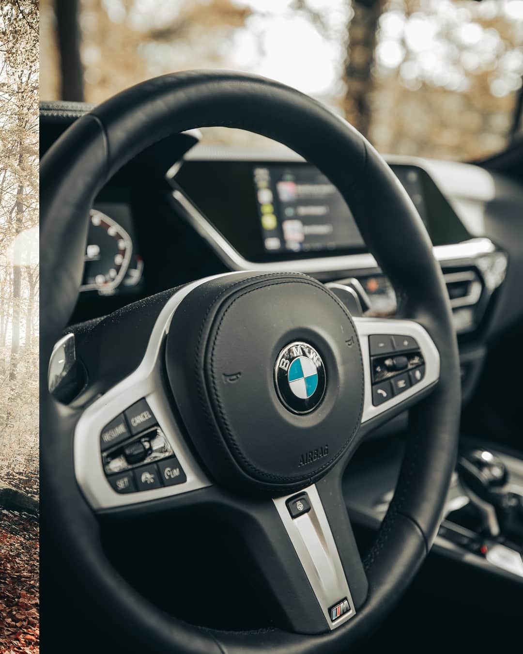 BMWさんのインスタグラム写真 - (BMWInstagram)「Show those leaves some fun. #TheZ4 #BMWrepost @kimonmaritz @bmwswitzerland #BMW #joy #freedom #instagood #classic #forrest #backtonature #switzerland __ BMW Z4 M40i: Fuel consumption in l/100 km (combined): 7.4. CO2 emissions in g/km (combined): 168. Further information: www.bmw.com/disclaimer.  	 Acceleration (0-100 km/h): 4.5 s. Power: 250 kW, 340 hp, 500 Nm. Top speed (limited): 250 km/h.」7月26日 17時00分 - bmw