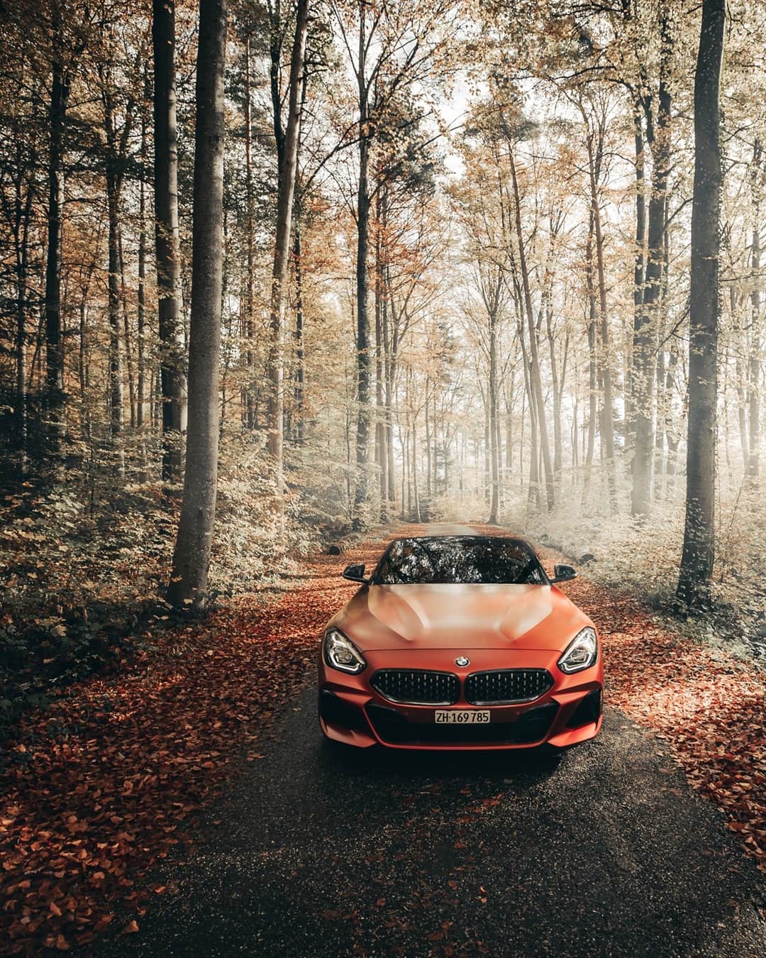 BMWさんのインスタグラム写真 - (BMWInstagram)「Show those leaves some fun. #TheZ4 #BMWrepost @kimonmaritz @bmwswitzerland #BMW #joy #freedom #instagood #classic #forrest #backtonature #switzerland __ BMW Z4 M40i: Fuel consumption in l/100 km (combined): 7.4. CO2 emissions in g/km (combined): 168. Further information: www.bmw.com/disclaimer.  	 Acceleration (0-100 km/h): 4.5 s. Power: 250 kW, 340 hp, 500 Nm. Top speed (limited): 250 km/h.」7月26日 17時00分 - bmw
