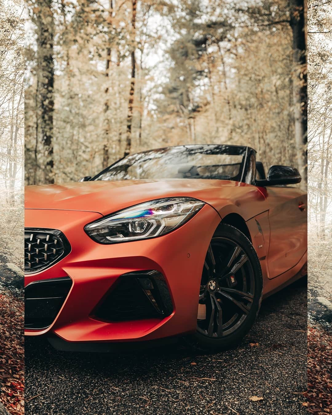 BMWさんのインスタグラム写真 - (BMWInstagram)「Show those leaves some fun. #TheZ4 #BMWrepost @kimonmaritz @bmwswitzerland #BMW #joy #freedom #instagood #classic #forrest #backtonature #switzerland __ BMW Z4 M40i: Fuel consumption in l/100 km (combined): 7.4. CO2 emissions in g/km (combined): 168. Further information: www.bmw.com/disclaimer.  	 Acceleration (0-100 km/h): 4.5 s. Power: 250 kW, 340 hp, 500 Nm. Top speed (limited): 250 km/h.」7月26日 17時00分 - bmw