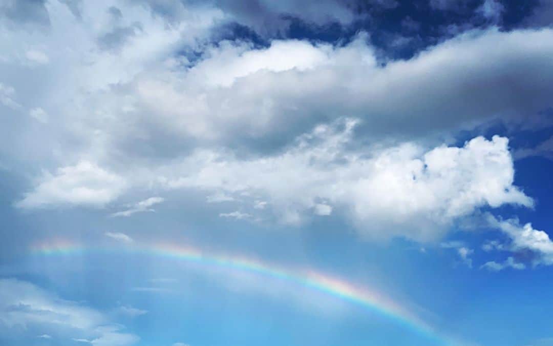 佐藤朱さんのインスタグラム写真 - (佐藤朱Instagram)「#雨上がり  ふと見上げたら 空に虹がかかっていました  この部屋に越してきて 窓から美しい景色を沢山見たけど 虹は初めて  雨上がりは 虹が掛かるのです🌈  #窓からの景色  #虹 #美しかった #自然が好き  #空を見上げてごらん  #japan #tokyo #rainbow  #lifeisbeautiful  #prayforpeace」7月26日 17時38分 - akechi516