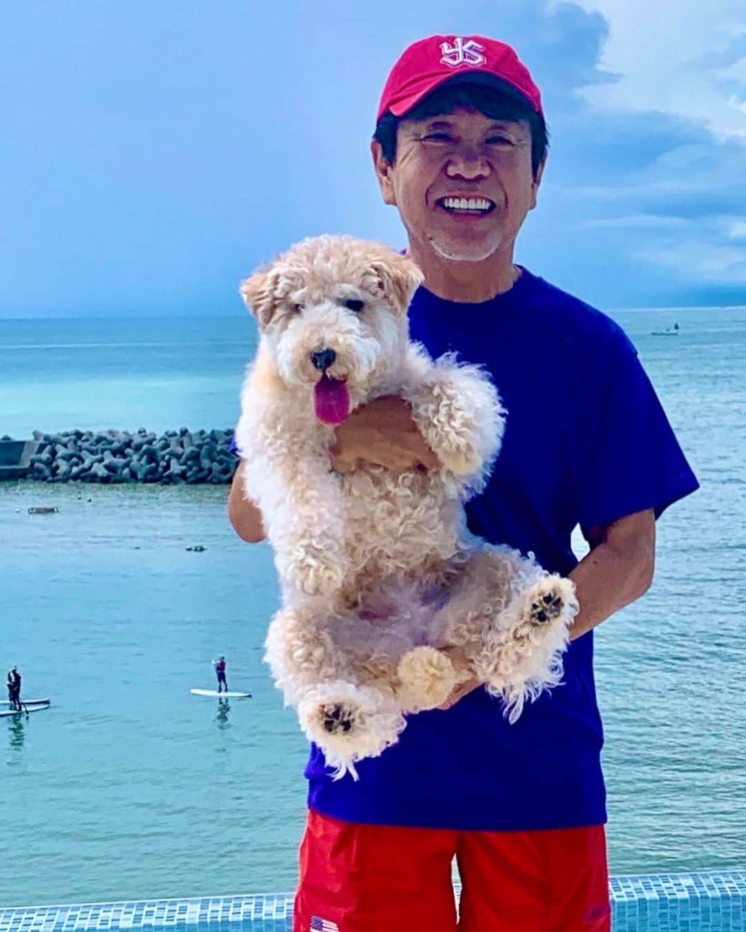 設楽洋さんのインスタグラム写真 - (設楽洋Instagram)「ケリーと海…😊🧸🏖 晴れ男・晴れ犬 W参上❣️  #kelly #ケリー #葉山 #湘南 #taras_sunset_villa #ACG #speedo #Nike #summerfashion」7月26日 17時43分 - taracyan3