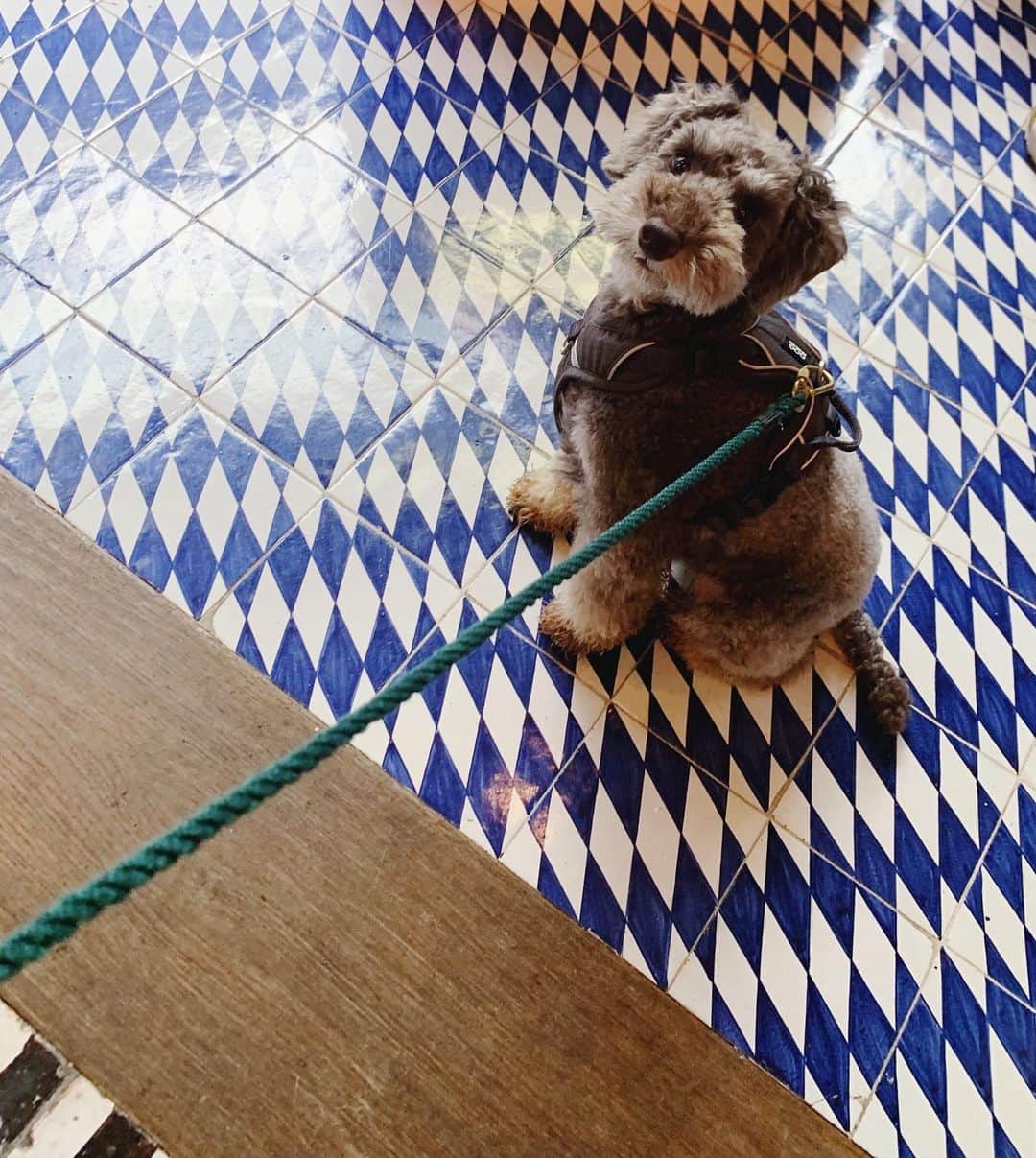 早坂香須子のグルメインスタ