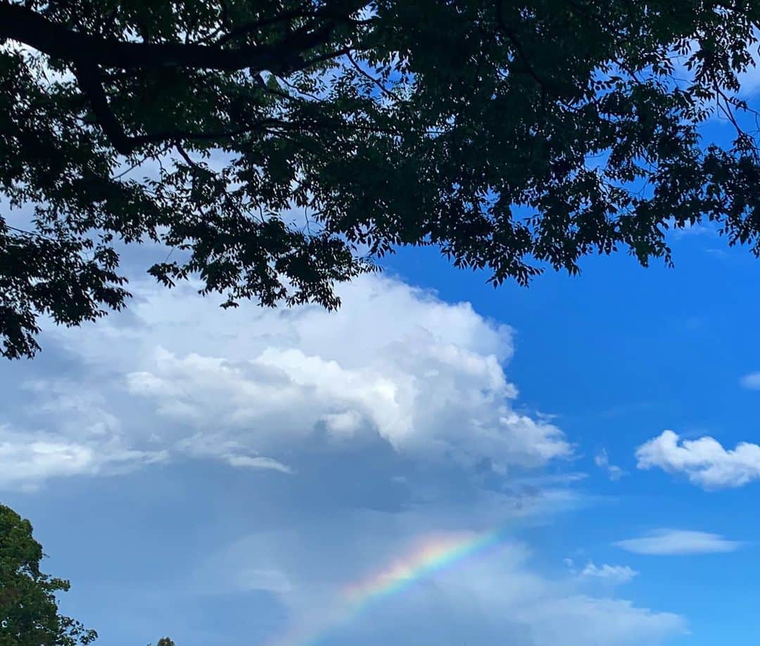 早坂香須子さんのインスタグラム写真 - (早坂香須子Instagram)「インスタライブ中に 虹が出てると教えてくれた方のおかげで、ダンちゃんと🌈が見れました！  ありがとうございます🌺🌈🌈🌈  朝、雨宿りしたコーヒー屋さんで「ハワイみたいな天気ですね」と言われてから、なんとなく虹が見れそうな気がしてた！  徒歩1分でハワイに到着しました😂🌺🌈  虹の反対側の空も美しかったよ✨」7月26日 17時56分 - kazukovalentine
