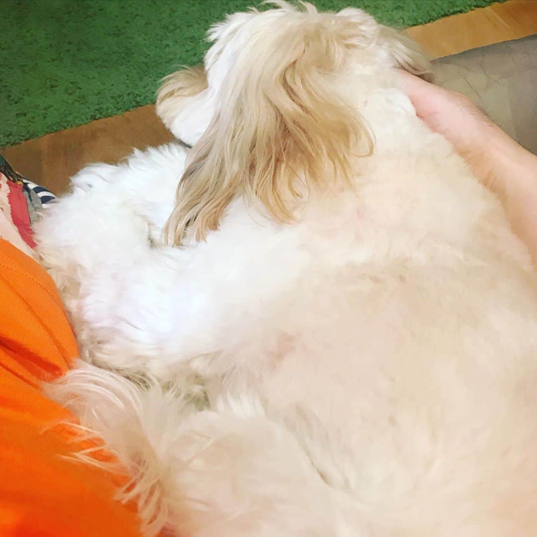 北山陽一のインスタグラム：「一緒に動画観てる。#きたやまおもち」