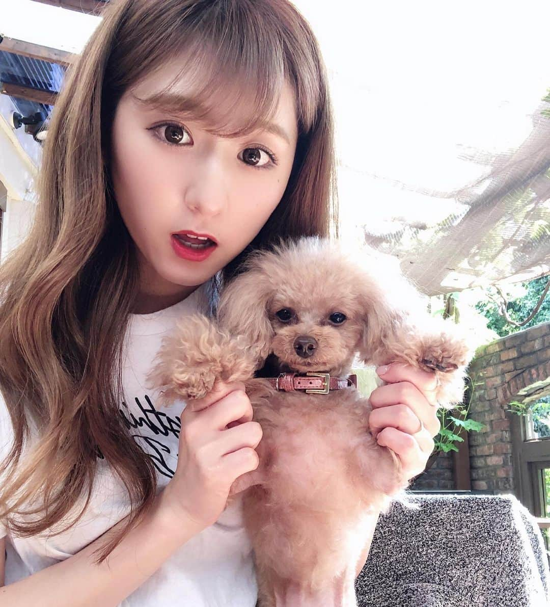 阿比留李帆のインスタグラム：「🥺🐶」