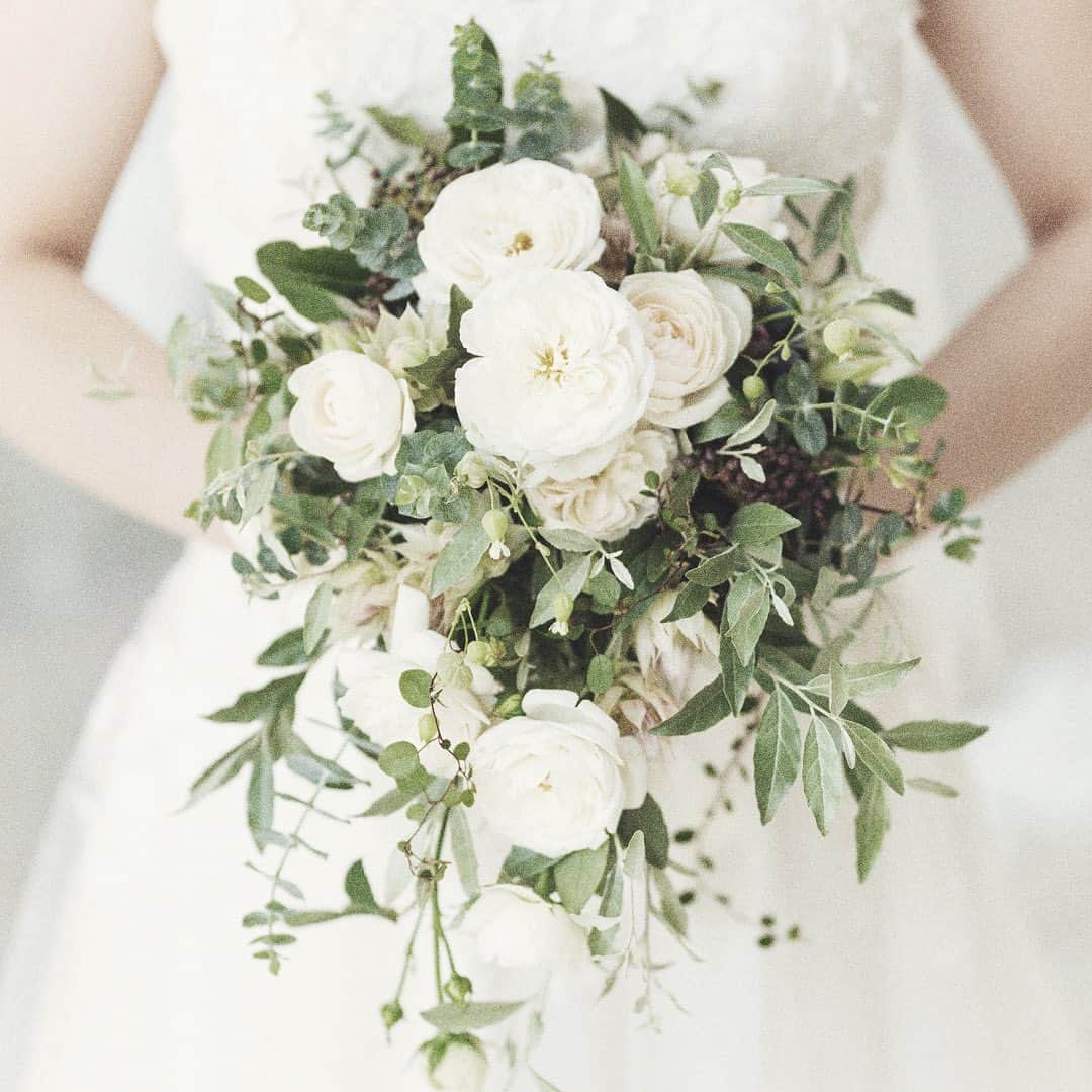 アマンダンヒルズのグルメインスタ