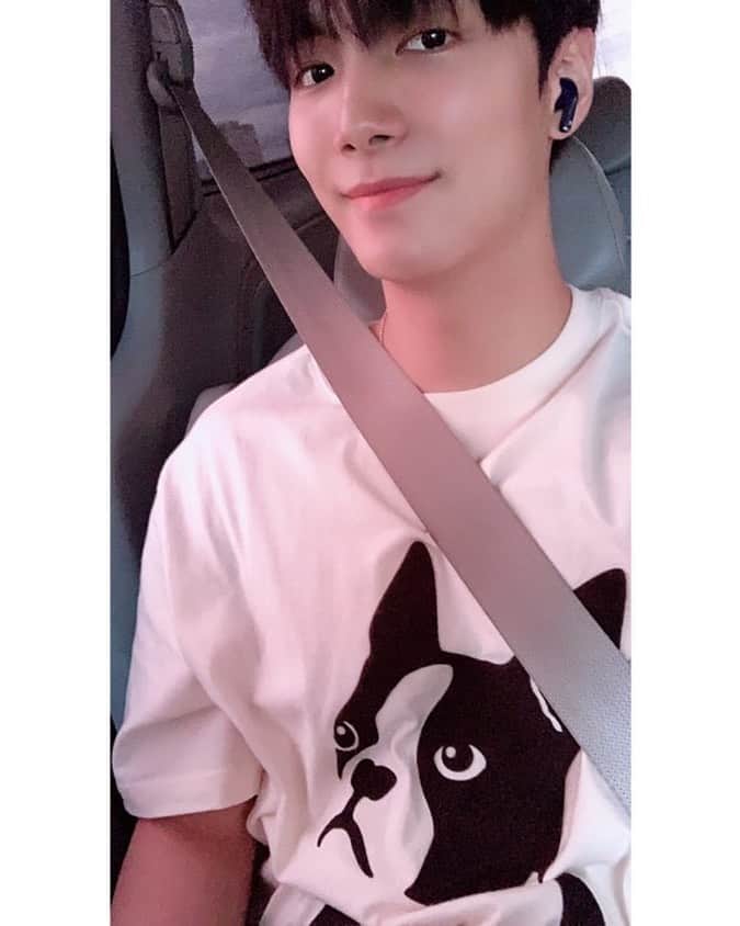 JR のインスタグラム：「🐶」