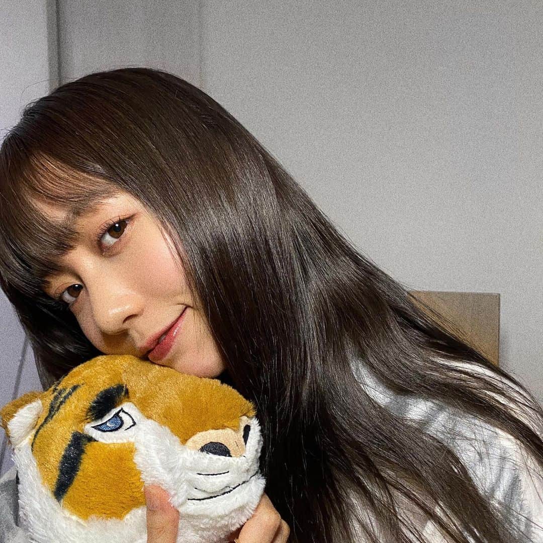 野島樺乃のインスタグラム：「オレのトラ　新入りです🐅 . . . #ikea #fff #like #dailylook #イケア」