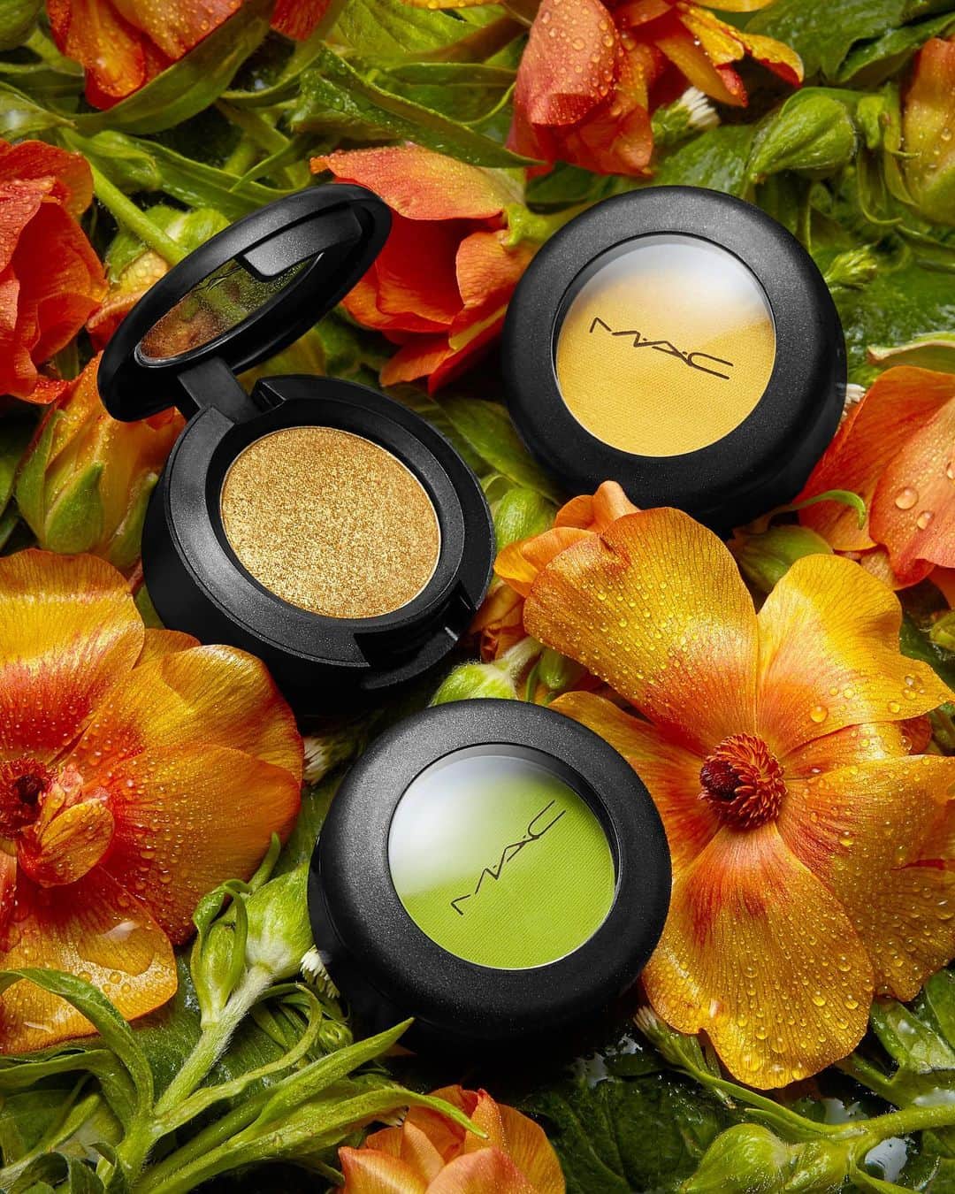 M∙A∙C Cosmetics Japanのインスタグラム：「M·A·Cではさまざまなカラー、質感のアイシャドウを豊富に取りそろえています🎨 デイリー使いにはもちろん、クリエイティブなメイクにもぴったり💋 ㅤ 【公式オンラインショップ限定特典】 ☑︎本日7月23日(木) 23:59まで全品送料無料！ ☑︎対象のM·A·Cリップ製品を含む税込8,250円以上お買い上げの方に、ミニサイズのリップスティック、「モカ」をプレゼント *7月28日(火) 23:59まで(なくなり次第終了) ＜対象リップ製品＞ ・リップスティック ・パウダーキス リップスティック ・ラブ ミー リップスティック ・パウダー キス リキッド リップカラー ・レトロ マット リキッド リップカラー ・テンダー トーク リップバーム ※上記に該当する限定コレクション製品も対象となります※ ☑︎初回ご購入のお客様へ10% OFFクーポンをプレゼント （クーポンコードwelcome） ㅤ #MACCosmeticsJapan #MACCosmetics #MAC #MACコスメ #マックコスメ #コスメ#コスメ紹介#コスメ好き#コスメレポ #化粧品 #デパコス #コスメ部 #コスメマニア #メイク好き#メイク道具#美容大好き#美容好き#メイクプロセス#トレンドメイク#夏メイク#メイクテク#アイメイク#アイシャドウ#グラデーション#アイシャドウパレット#一重メイク#スモールアイシャドウ#キラキラ#キラキラメイク」