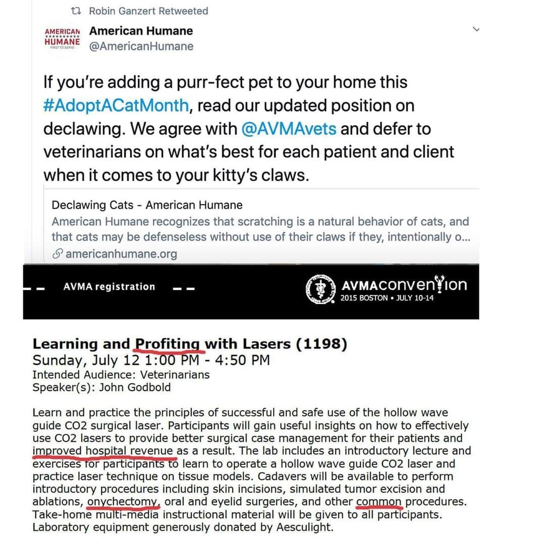 City the Kittyさんのインスタグラム写真 - (City the KittyInstagram)「@americanhumane updated their declawing position last month and they are taking the side of a trade org @avmavets that helps their declawing member vets make more $ from performing this inhumane amputation procedure on innocent cats. 😾😾😾😾💵  It's sad that American Humane isn't on the side of cats. 😿💔 #WrongSideOfHistory  😿 Please send #AmericanHumane a polite email and ask their CEO/Pres. Robin Ganzert why they won't completely condemn declawing and when do they feel this cat cruelty is best for a cat.  info@americanhumane.org If you get a reply send it to citythekitty@gmail.com 👍🏻🐾 Attached is AH's new declawing position. They should have left out the last sentence. 😾  Attached is AH's tail docking position. This last sentence should be in the declawing position.  🐾 Do they just like dogs more than cats?  #injustice #AmericanHumane #DoTheRightThing #stopdeclawing #AnimalCruelty」7月27日 7時34分 - citythekitty