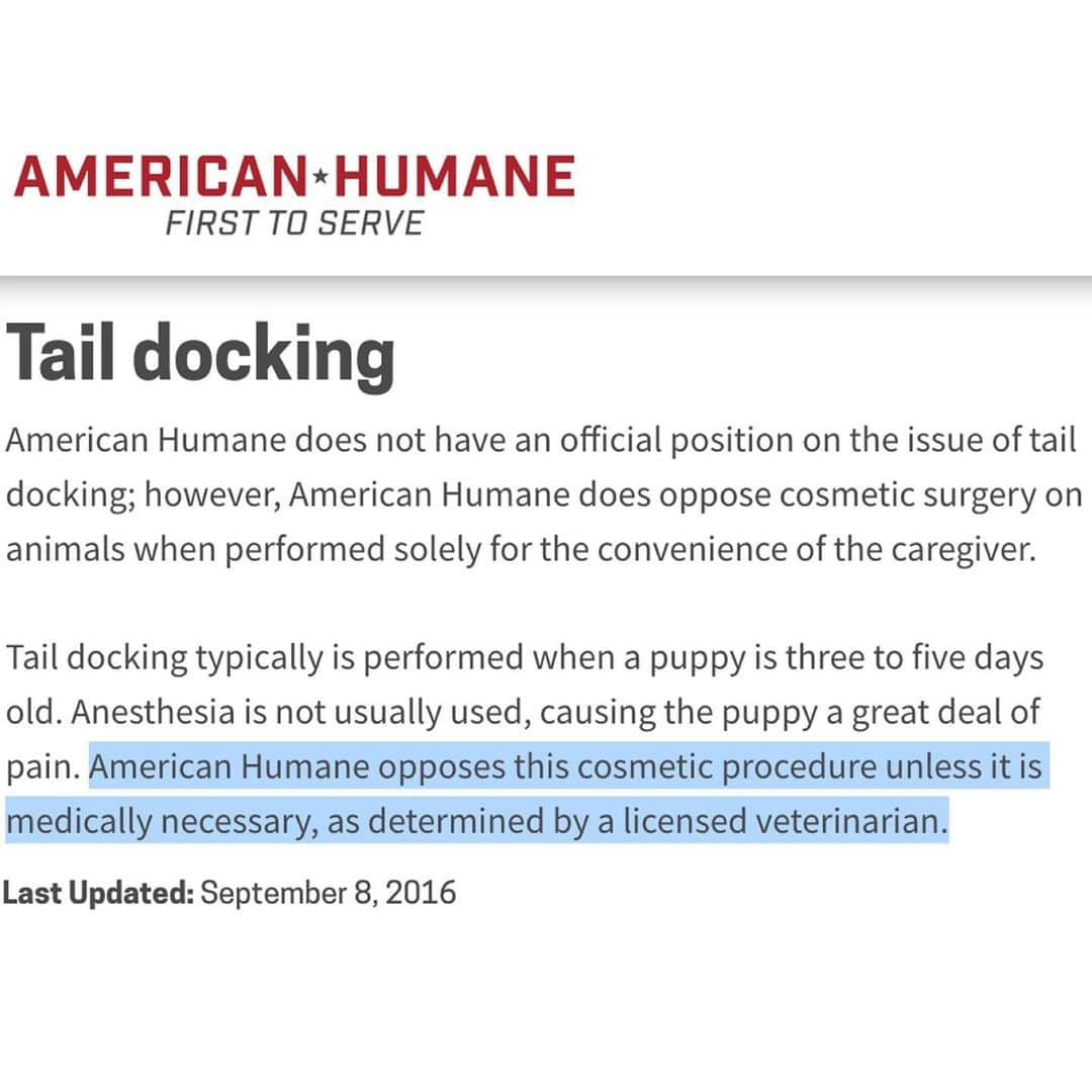 City the Kittyさんのインスタグラム写真 - (City the KittyInstagram)「@americanhumane updated their declawing position last month and they are taking the side of a trade org @avmavets that helps their declawing member vets make more $ from performing this inhumane amputation procedure on innocent cats. 😾😾😾😾💵  It's sad that American Humane isn't on the side of cats. 😿💔 #WrongSideOfHistory  😿 Please send #AmericanHumane a polite email and ask their CEO/Pres. Robin Ganzert why they won't completely condemn declawing and when do they feel this cat cruelty is best for a cat.  info@americanhumane.org If you get a reply send it to citythekitty@gmail.com 👍🏻🐾 Attached is AH's new declawing position. They should have left out the last sentence. 😾  Attached is AH's tail docking position. This last sentence should be in the declawing position.  🐾 Do they just like dogs more than cats?  #injustice #AmericanHumane #DoTheRightThing #stopdeclawing #AnimalCruelty」7月27日 7時34分 - citythekitty