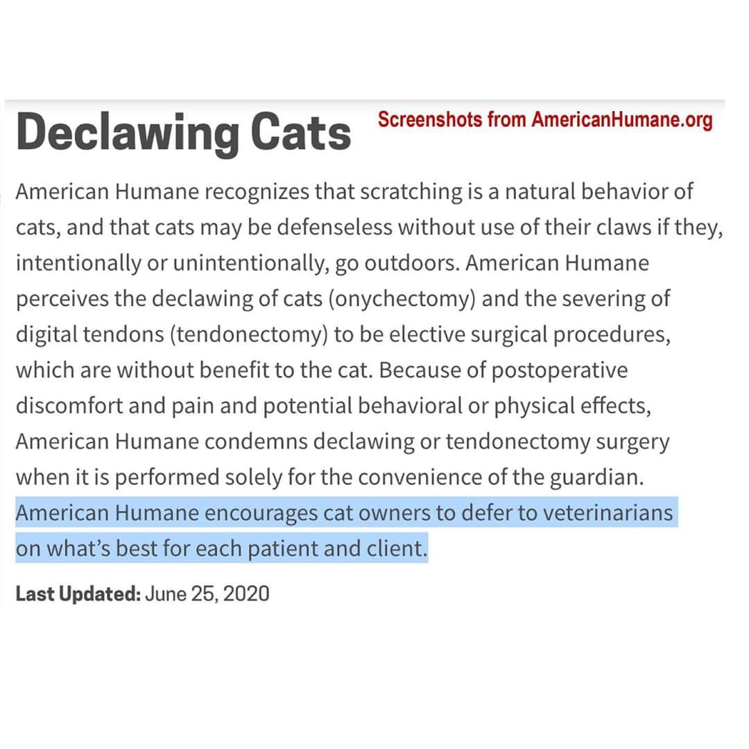 City the Kittyさんのインスタグラム写真 - (City the KittyInstagram)「@americanhumane updated their declawing position last month and they are taking the side of a trade org @avmavets that helps their declawing member vets make more $ from performing this inhumane amputation procedure on innocent cats. 😾😾😾😾💵  It's sad that American Humane isn't on the side of cats. 😿💔 #WrongSideOfHistory  😿 Please send #AmericanHumane a polite email and ask their CEO/Pres. Robin Ganzert why they won't completely condemn declawing and when do they feel this cat cruelty is best for a cat.  info@americanhumane.org If you get a reply send it to citythekitty@gmail.com 👍🏻🐾 Attached is AH's new declawing position. They should have left out the last sentence. 😾  Attached is AH's tail docking position. This last sentence should be in the declawing position.  🐾 Do they just like dogs more than cats?  #injustice #AmericanHumane #DoTheRightThing #stopdeclawing #AnimalCruelty」7月27日 7時34分 - citythekitty