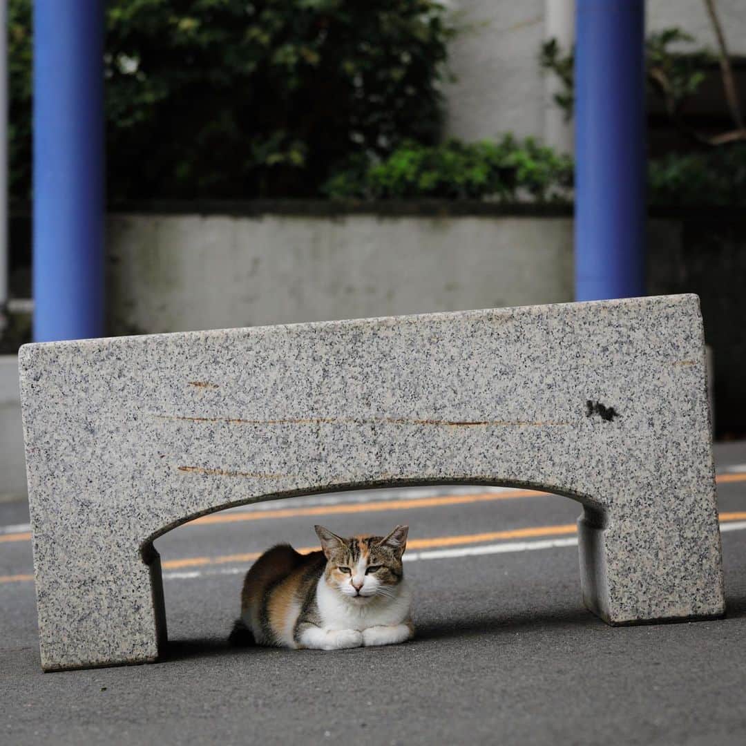 ををつかのインスタグラム