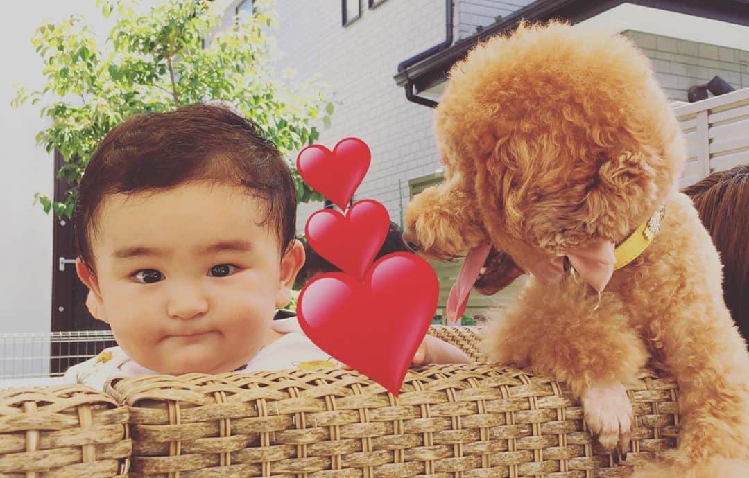 知念芽衣のインスタグラム