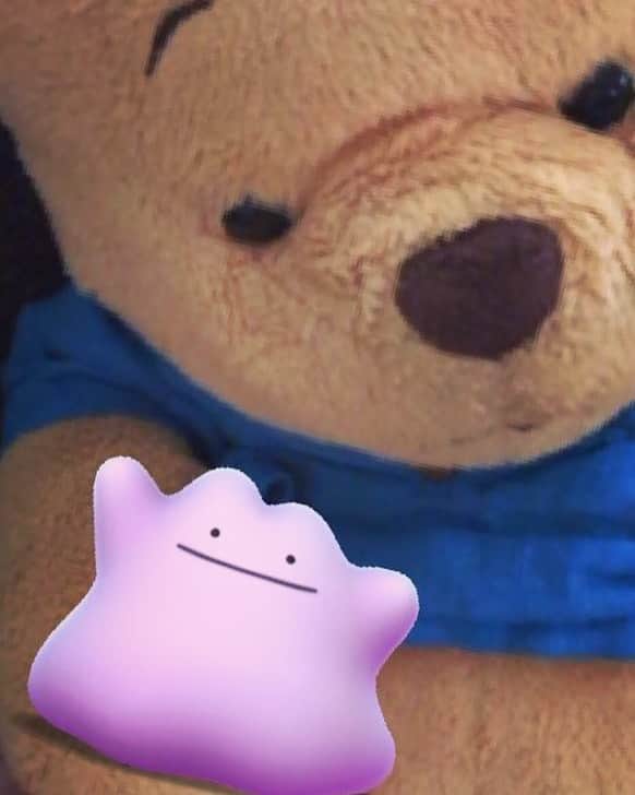 睦のインスタグラム：「Pooh : むつみぃ、 これなぁに？😯  Mutsumi : それ、 メタモンって 言うんだよぉ。  Pooh : そうなんだぁ、 食べていいのぉ？😋  Mutsumi : いや、 やめてあげてっ😅  Pooh :ふ〜ん。 ハチミツみたい なんだけどなぁ🐝🍯  Mutsumi : 。。。😓  #ポケットモンスター　 #pocketmonsters  #ポケモン  #ポケモンゴー  #ポケモンgo  #pokemon  #pokemongo  #ポケモンゴー散歩　 #ポケモンgo散歩　 #nintendo  #pooh  #winniethepooh  #相棒  #パートナー　 #partner  #nintendo  #メタモン  #metamon  #ditto  #名探偵ピカチュウ  #PokémonDetectivePikachu  #ピカチュウ  #rare  #ssw  #singersongwriter  #artist  #lyricist  #singer  #井上睦都実 #睦」