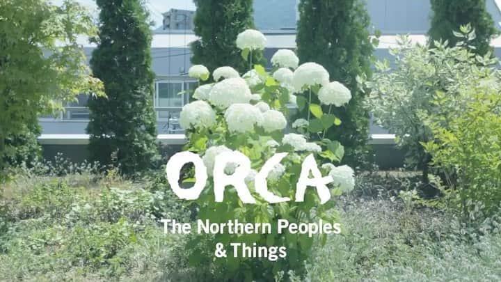 ハミルのグルメインスタ