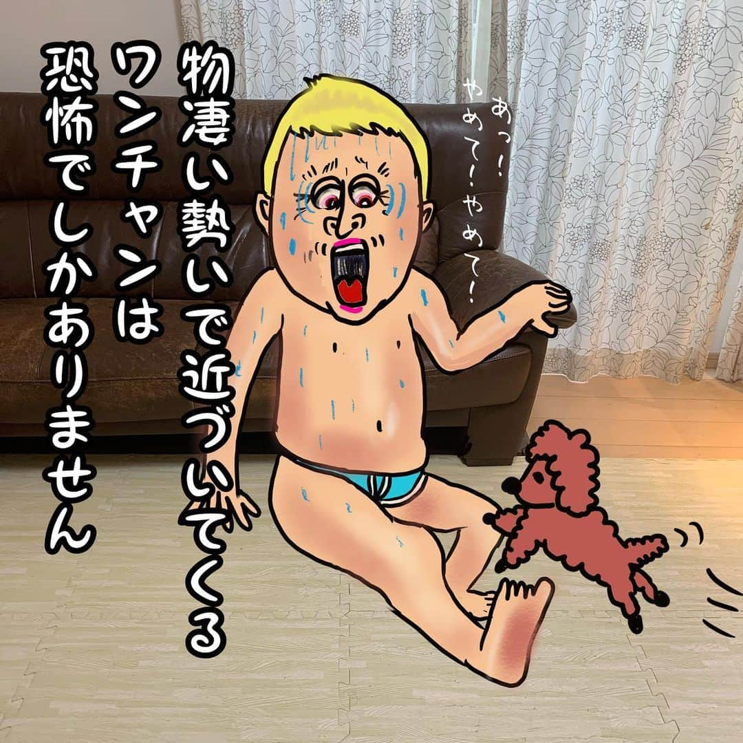 福島善成さんのインスタグラム写真 - (福島善成Instagram)「痛風日記 『風が吹かなくても痛い 触られたらあの世』  ピーク時は風が吹かなくても痛いし ち◯毛が一本乗っかっても激痛が走ります。本当です。 #尿酸値高めの方へ #痛風」7月27日 0時34分 - fukushimayoshinari