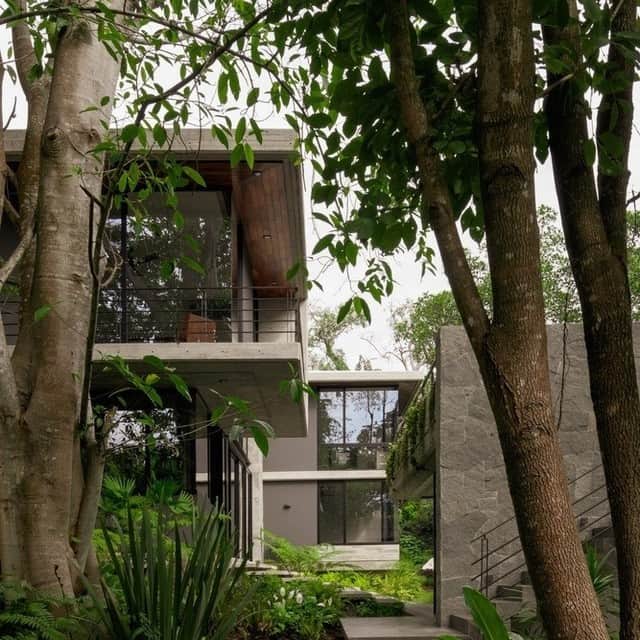 Architecture - Housesさんのインスタグラム写真 - (Architecture - HousesInstagram)「⁣ Meeting #architecture with #nature🌿.⁣ 𝐄𝐧𝐭𝐫𝐞𝐩𝐚𝐫𝐨𝐭𝐚𝐬 𝐡𝐨𝐮𝐬𝐞is a project which allows users to live in a constant relation with nature. Magical, true?✨⁣ Swipe left and enjoy.⁣ ___⁣⁣⁣ 📐 @difrenna.arquitectos⁣ 📸@loredarquea⁣ ⁣ #archidesignhome⁣⁣⁣⁣⁣ ___ ⁣⁣⁣ ⁣⁣⁣ #architecture #architecture_lovers #architecturephotography ⁣⁣ #architecturelovers #renovation #remodel #midcentury #moderndesign #interiordesign #interiorarchitecture #modernarchitecture」7月27日 0時51分 - _archidesignhome_
