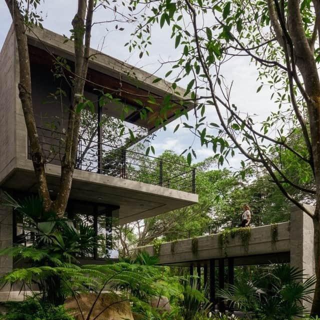 Architecture - Housesさんのインスタグラム写真 - (Architecture - HousesInstagram)「⁣ Meeting #architecture with #nature🌿.⁣ 𝐄𝐧𝐭𝐫𝐞𝐩𝐚𝐫𝐨𝐭𝐚𝐬 𝐡𝐨𝐮𝐬𝐞is a project which allows users to live in a constant relation with nature. Magical, true?✨⁣ Swipe left and enjoy.⁣ ___⁣⁣⁣ 📐 @difrenna.arquitectos⁣ 📸@loredarquea⁣ ⁣ #archidesignhome⁣⁣⁣⁣⁣ ___ ⁣⁣⁣ ⁣⁣⁣ #architecture #architecture_lovers #architecturephotography ⁣⁣ #architecturelovers #renovation #remodel #midcentury #moderndesign #interiordesign #interiorarchitecture #modernarchitecture」7月27日 0時51分 - _archidesignhome_