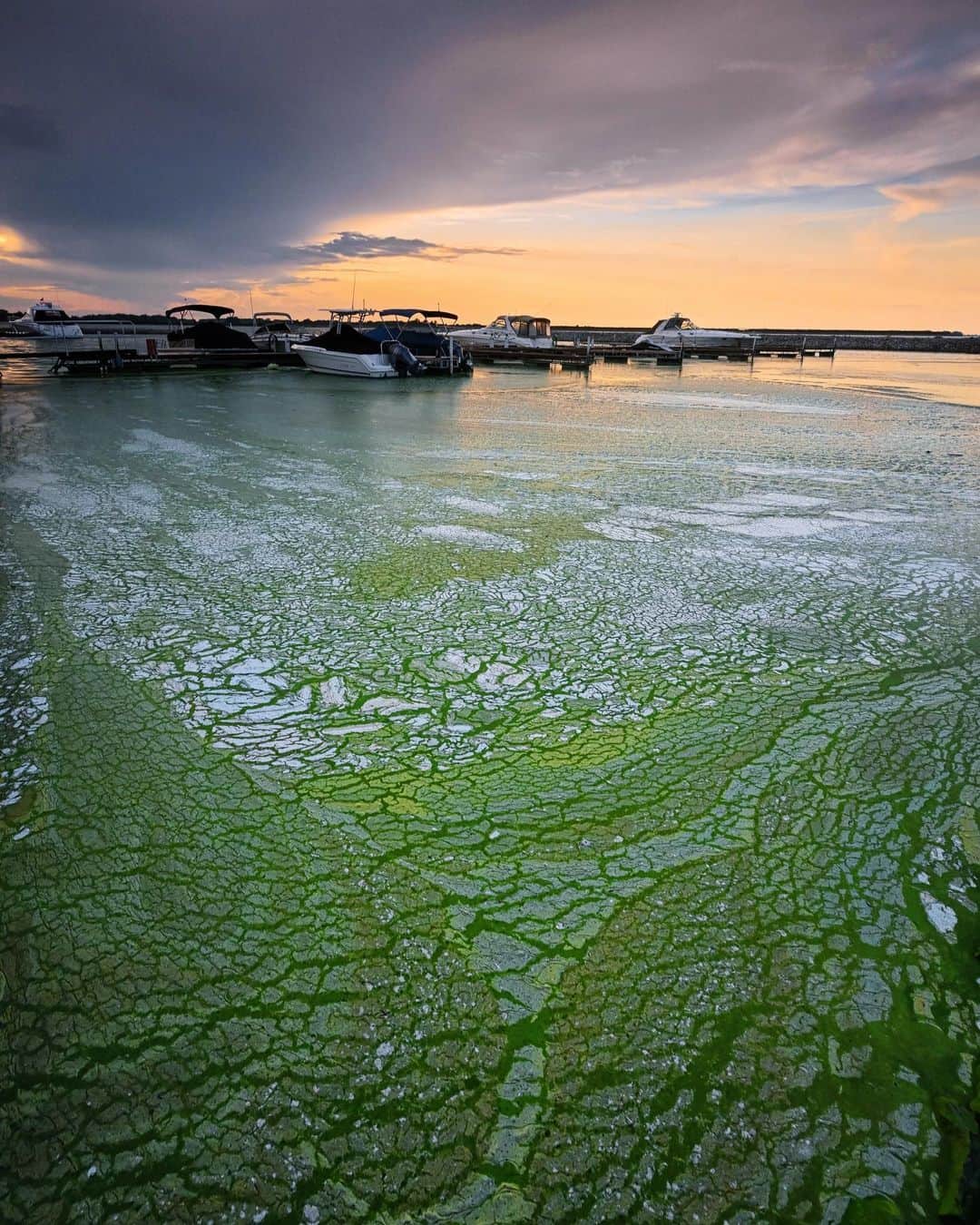 National Geographic Creativeさんのインスタグラム写真 - (National Geographic CreativeInstagram)「Photos by Keith Ladzinski @ladzinski / What you’re looking at here is a situation that spiraled out of control - This is a large scale #algaeBloom, one that has taken over hundreds of miles of #LakeErie. It’s the result of excess phosphates and nitrates in the water that have been introduced on a running timeline that dates well over 100 years. It’s primarily a derivative of large scale agriculture runoff that enters into the lake through tributary Rivers, irrigations or wind driven sediment. When the weather heats up, typically throughout July to September, these blooms ignite, only subsiding when temps cool down. Once these substances enter the water it can take 100,000’s of years for them to break down. As of now there’s no solution to remove them from the water, but hopefully in the future that will change. In the meantime this problem is wreaking havoc on the lakes ecosystem and the drinking water that millions upon millions of people rely on. To see more photos from this assignment please visit @ladzinski」7月27日 2時08分 - natgeointhefield